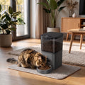 4L/6L Smart Pet Feeder with Camera – Automatic Dry Food Dispenser | Pawora