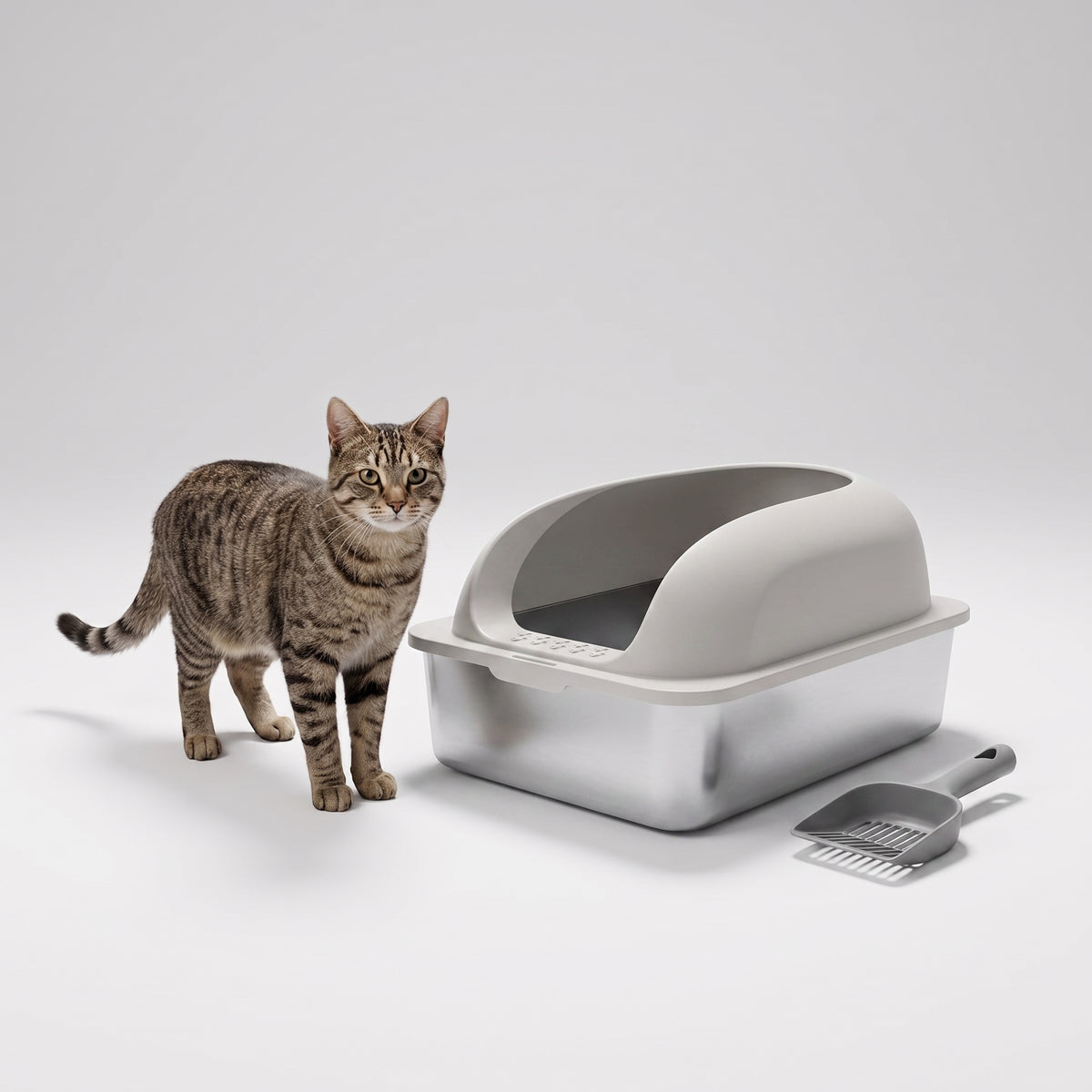 XL Stainless Steel Cat Litter Box Set Premium | Pawora