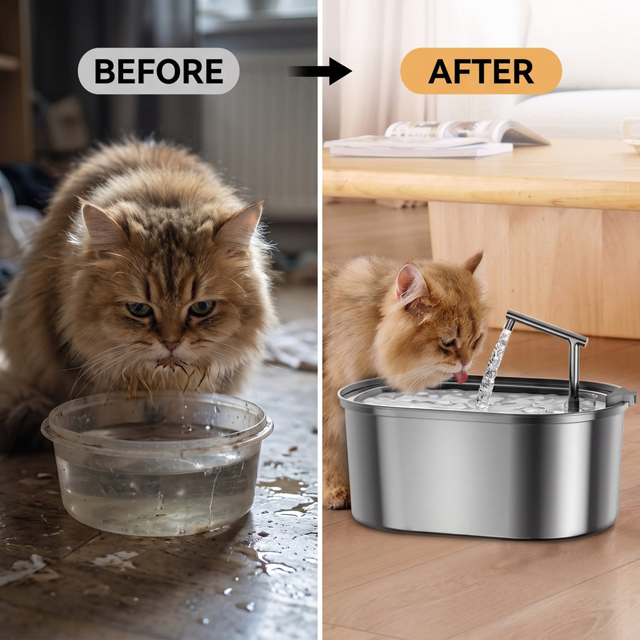 Stainless Steel Pet Water Fountain with Filtration | Pawora